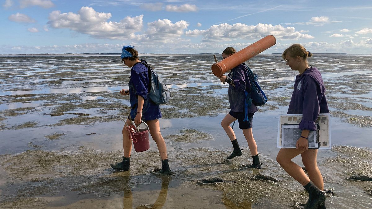 generation zukunft - mein freiwilliges jahr für die natur