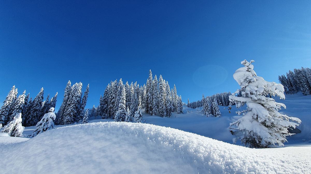 snow lords - arbeiten im pistenparadies