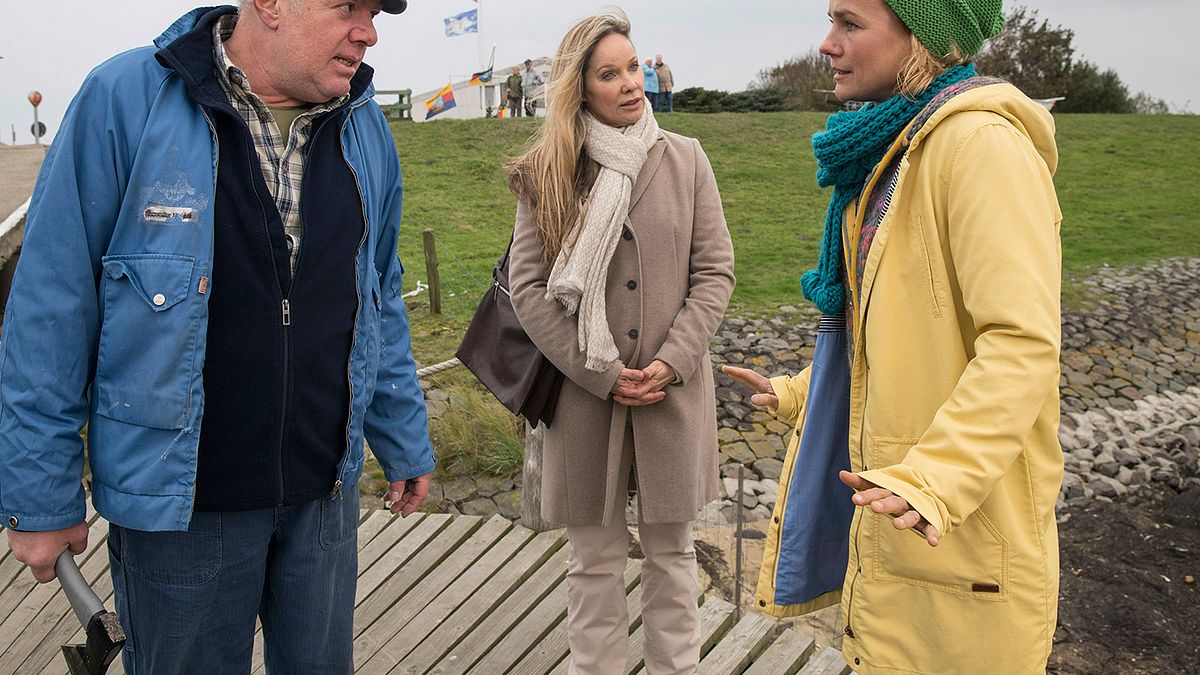 dora heldt: wind aus west mit starken böen
