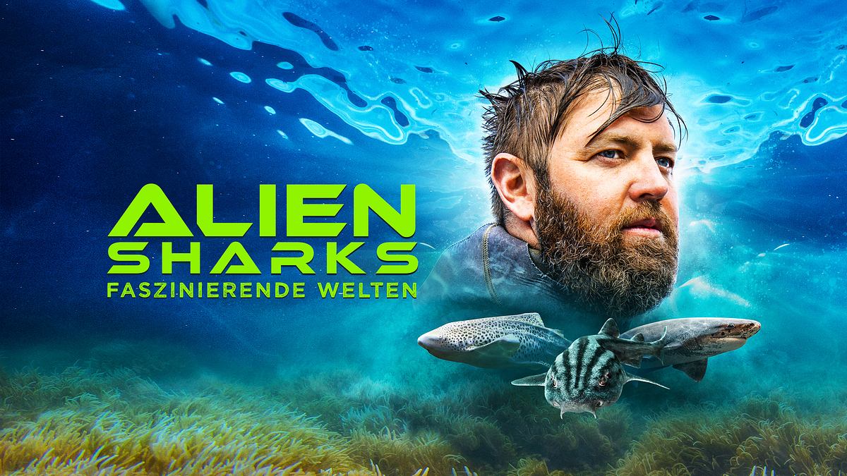 alien sharks - faszinierende welten