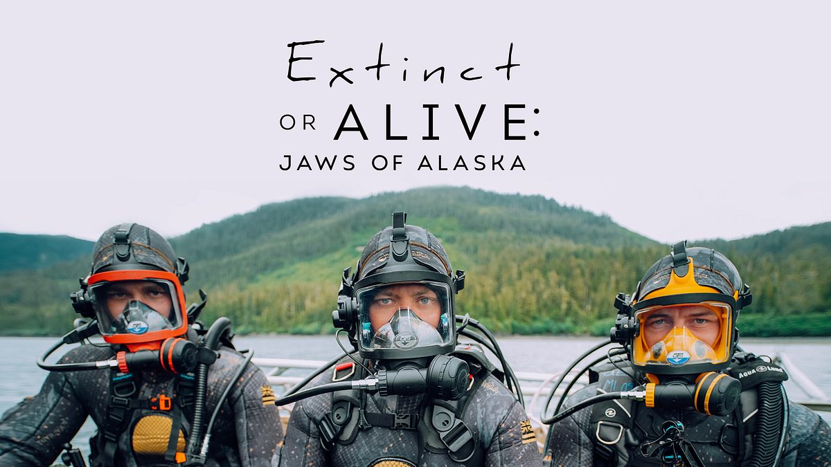 auf der spur der alaska-haie