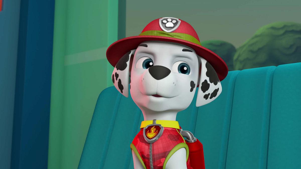 paw patrol - helfer auf vier pfoten
