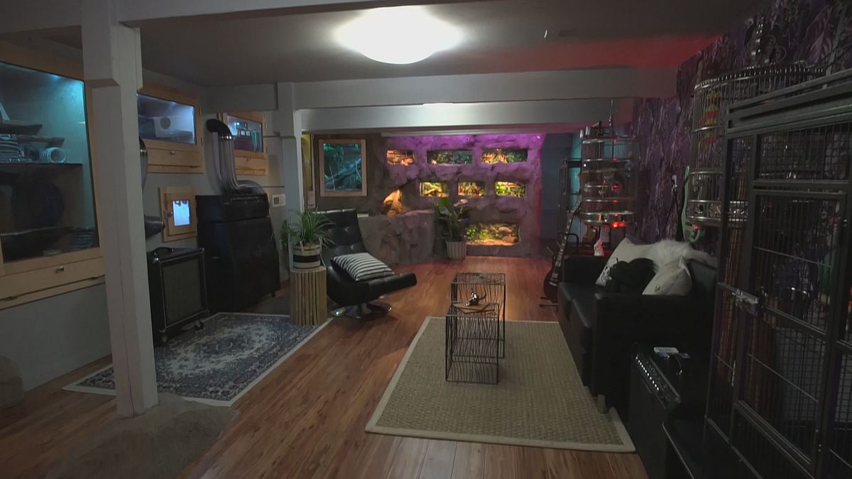 pet palace - hausträume für haustiere