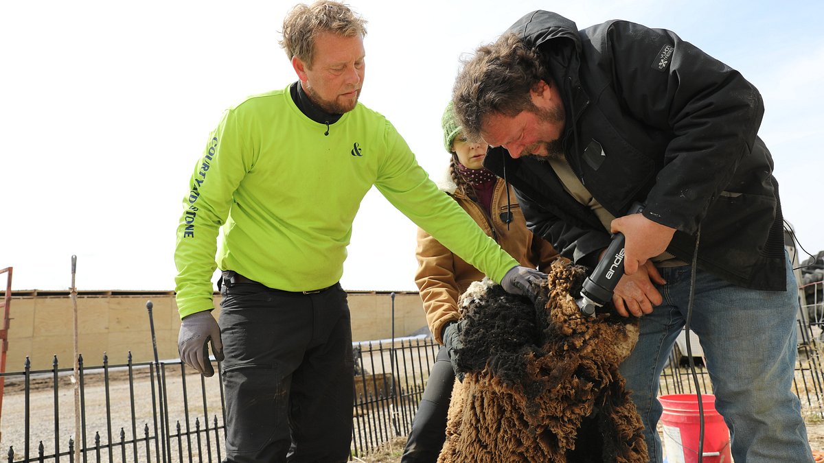 die unglaubliche pol-farm