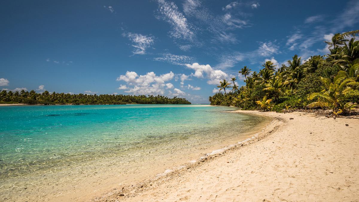 naked survival: castaways