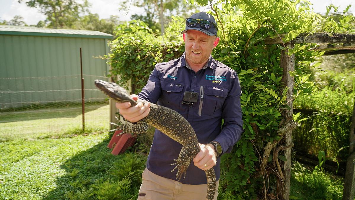 Die Schlangenfängerin - Gefahr Down Under die schlangenfängerin - gefahr down under