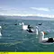 Mit dem Zug durch ... Thumbnail