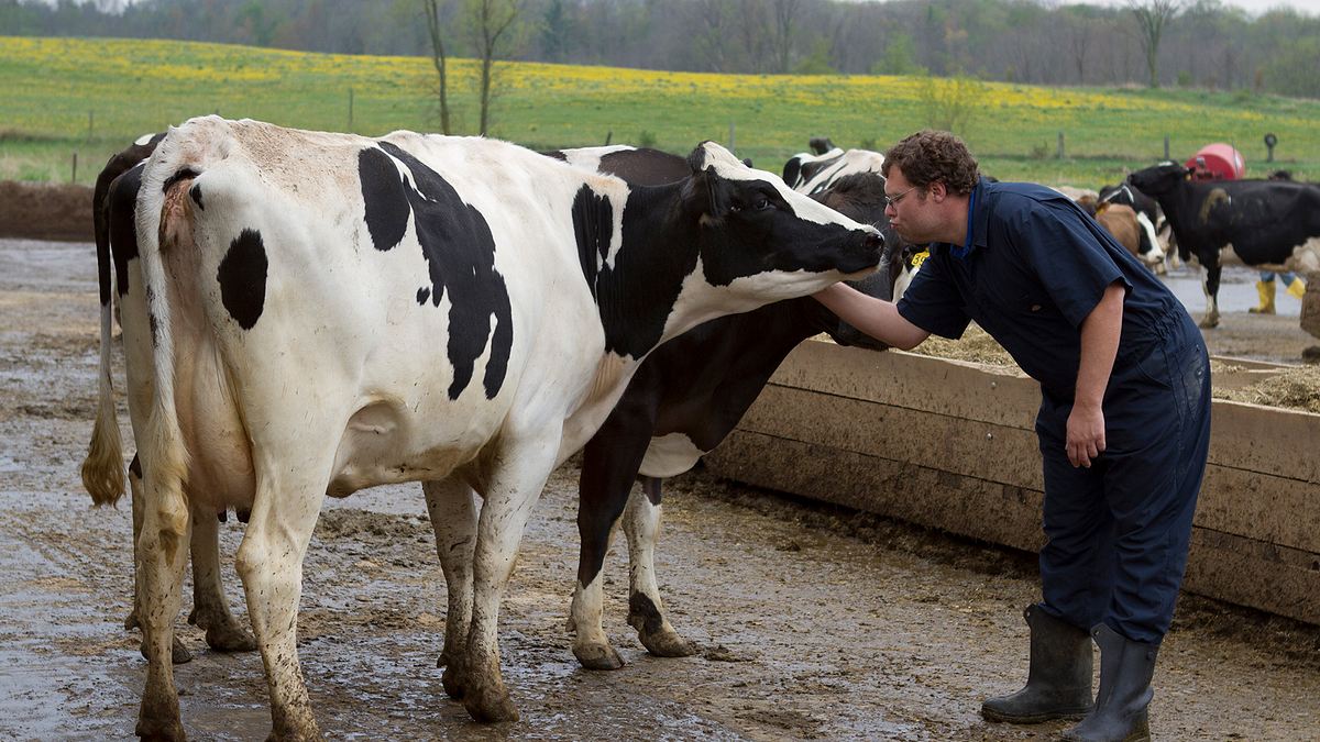 der unglaubliche dr. pol