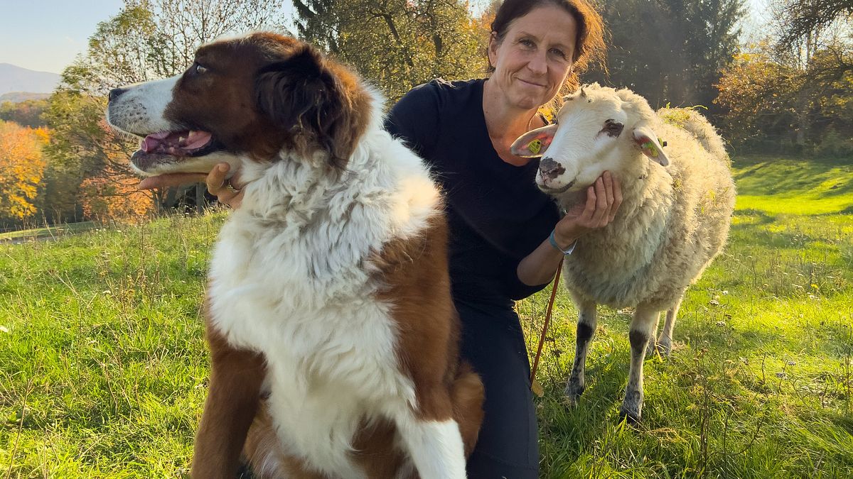 tierische augenblicke