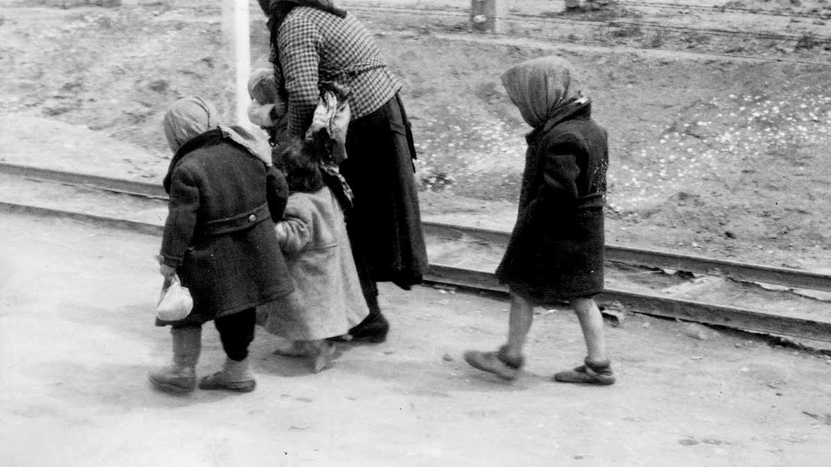 auschwitz - überleben in der hölle