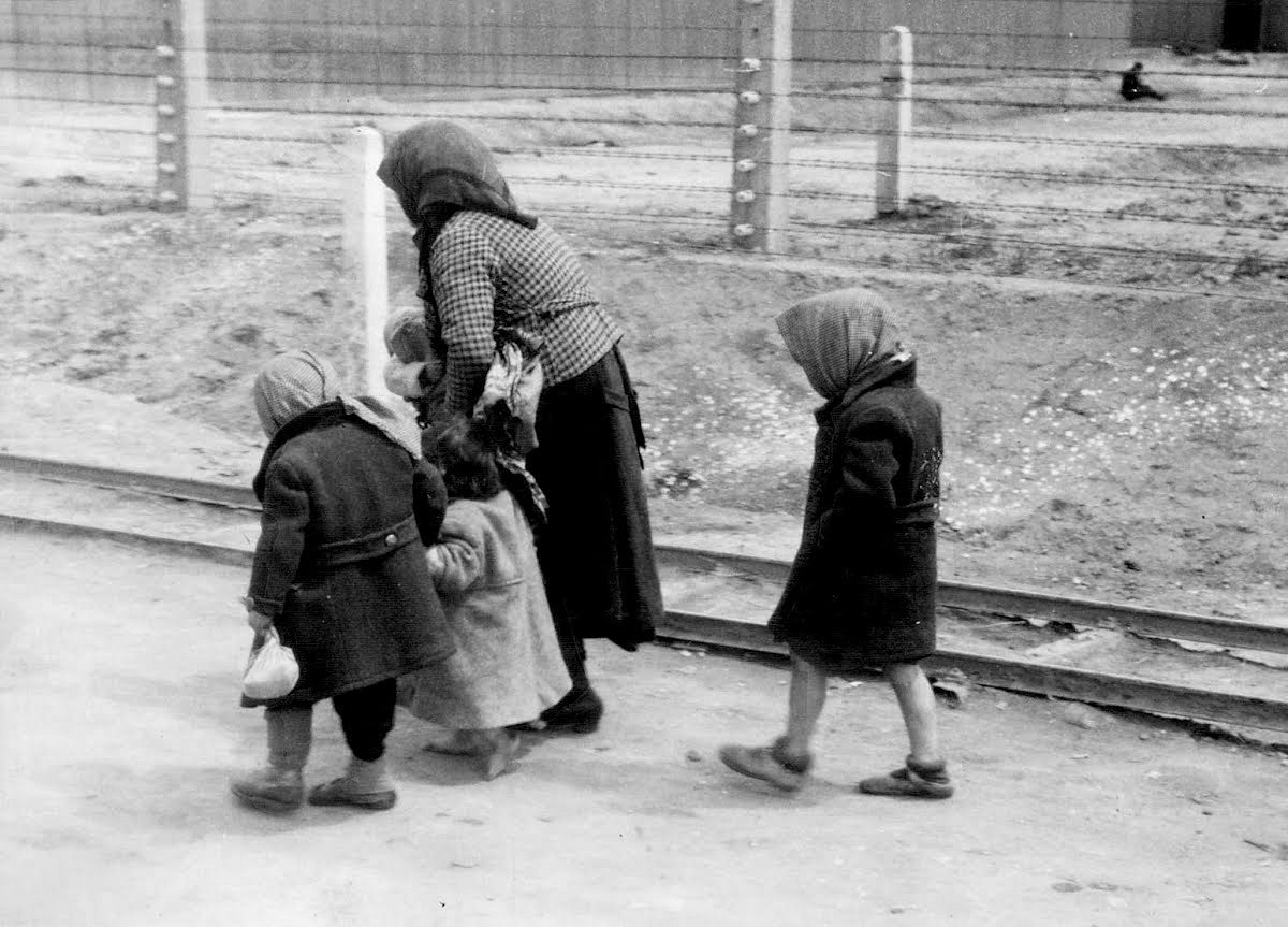 Auschwitz - Überleben in der Hölle auschwitz - überleben in der hölle