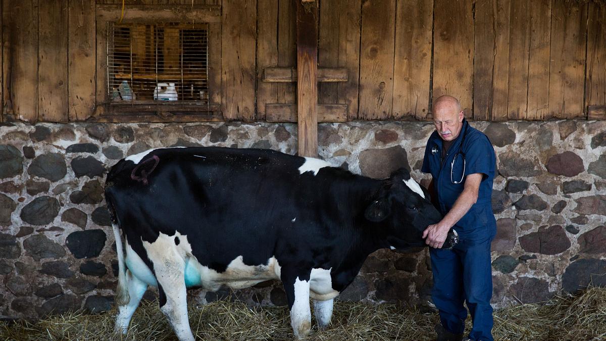 der unglaubliche dr. pol
