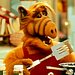 Alf Thumbnail