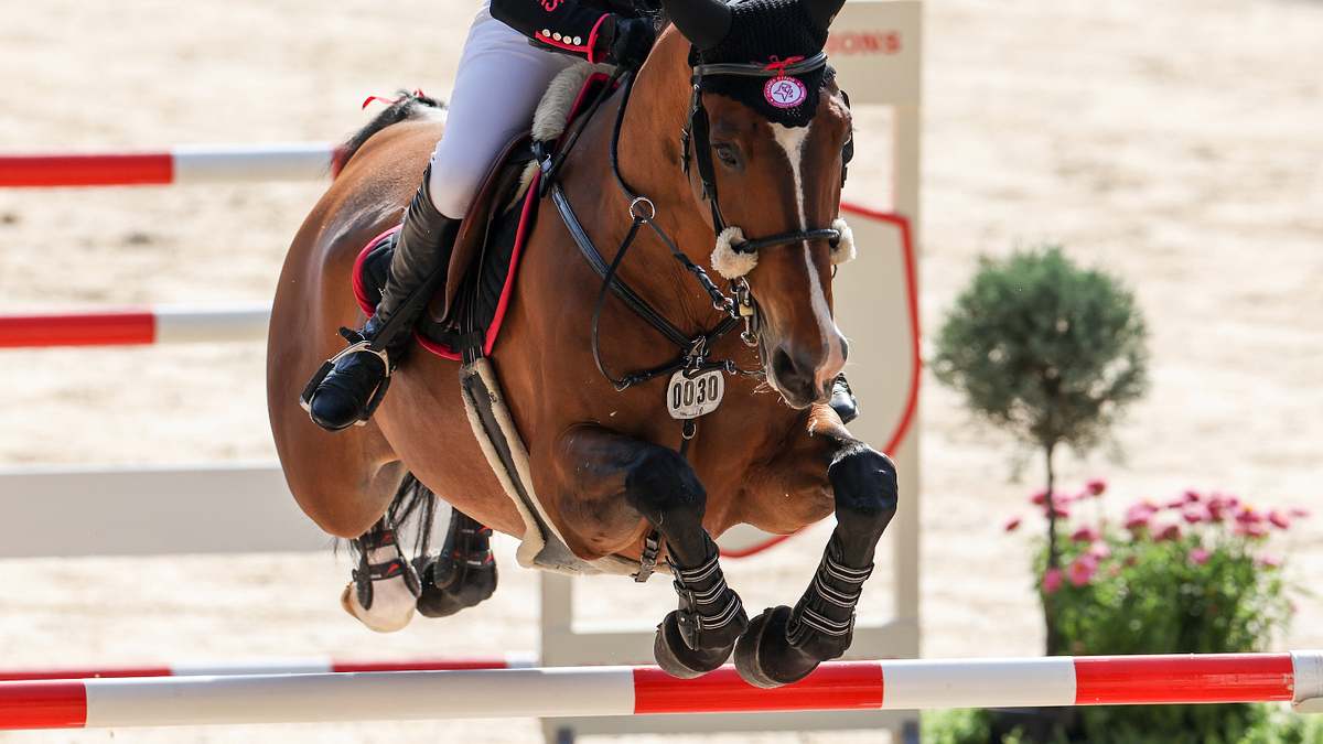 springreiten: global champions tour
