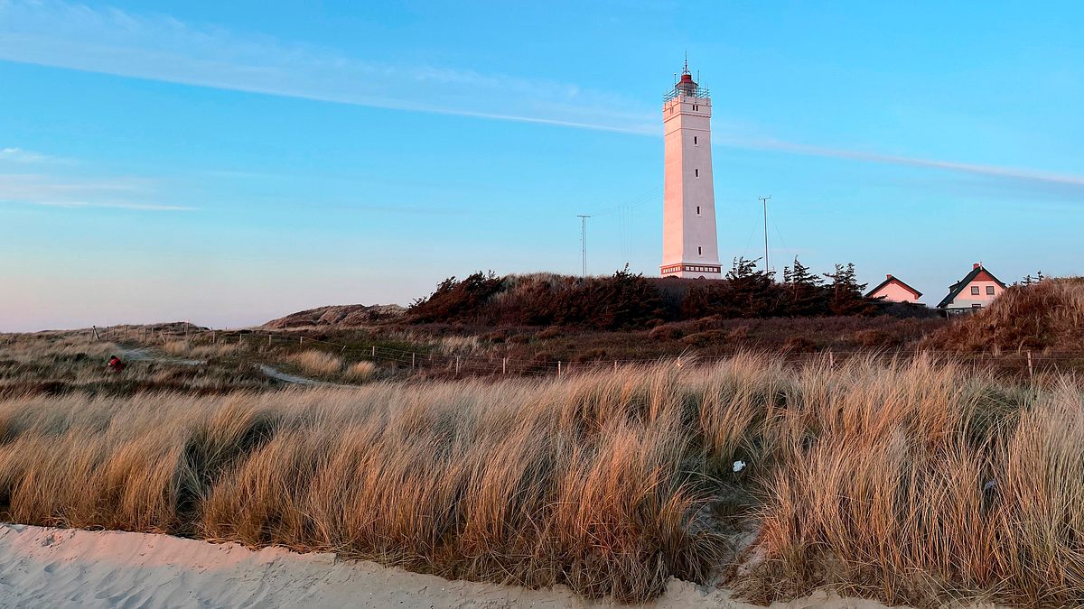 nordseereport