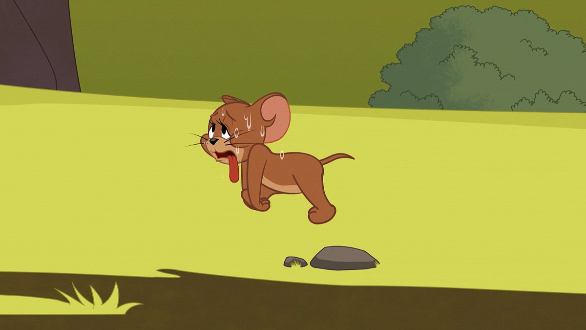 die tom und jerry show