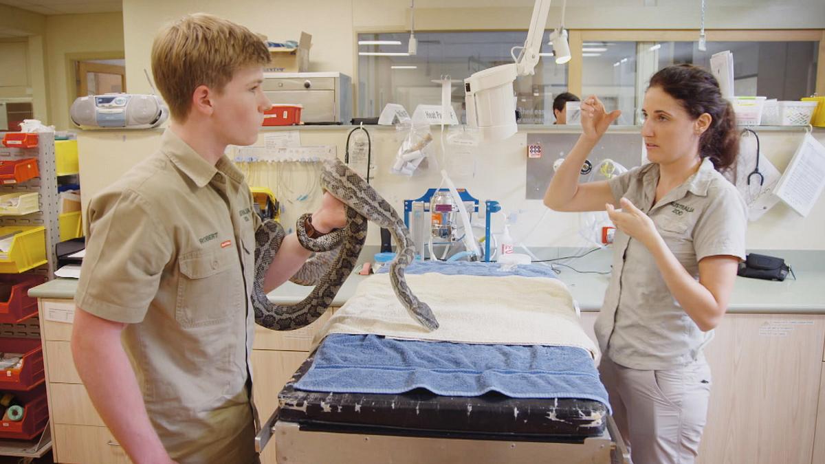 die irwins - crocodile hunter family
