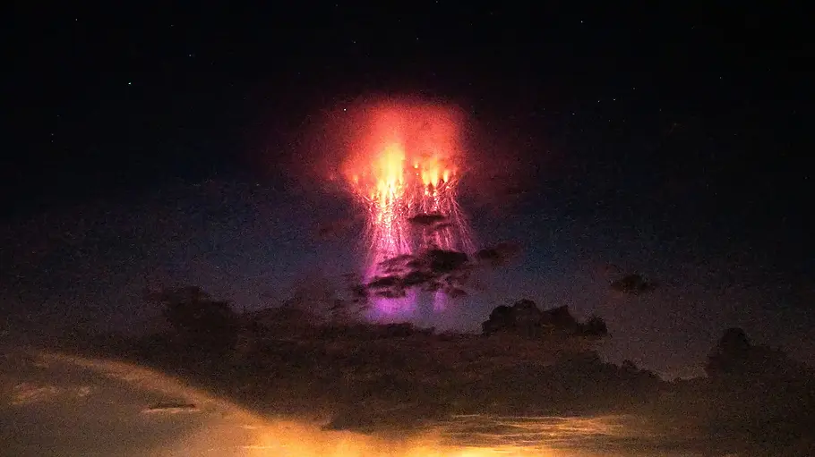 terra x