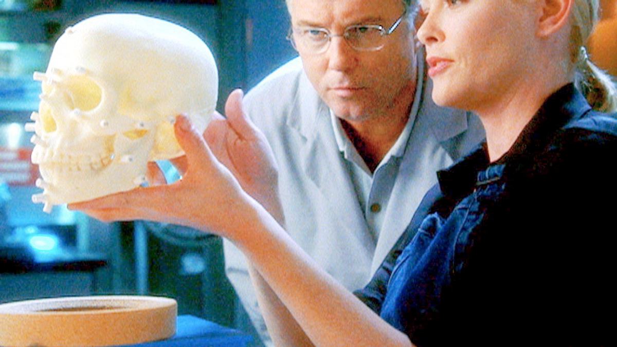 csi: den tätern auf der spur