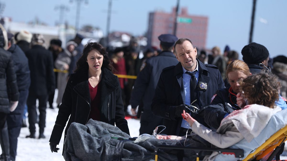 blue bloods - crime scene new york