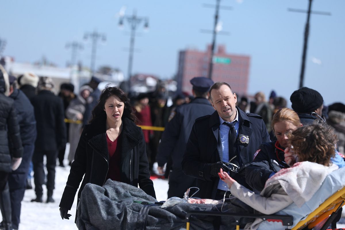 Blue Bloods - Crime Scene New York blue bloods - crime scene new york