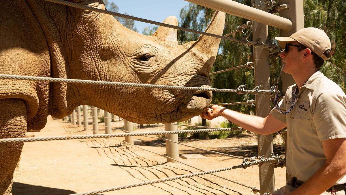 san diego zoo