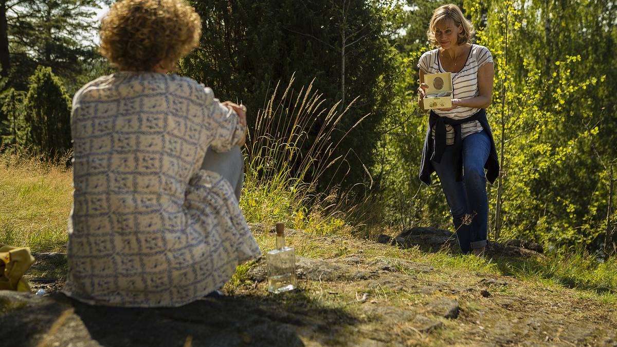 inga lindström: familienbande