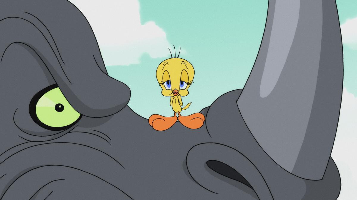 looney tunes cartoons
