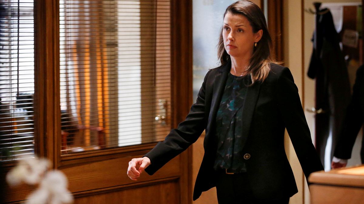 blue bloods - crime scene new york