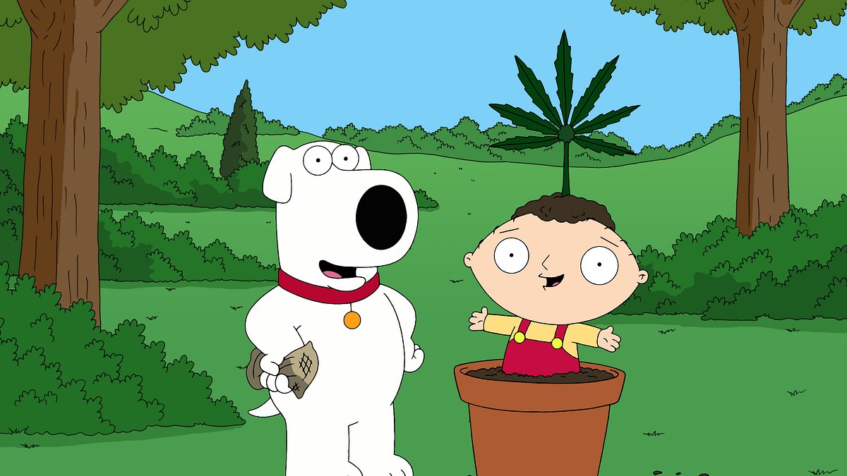 family guy
