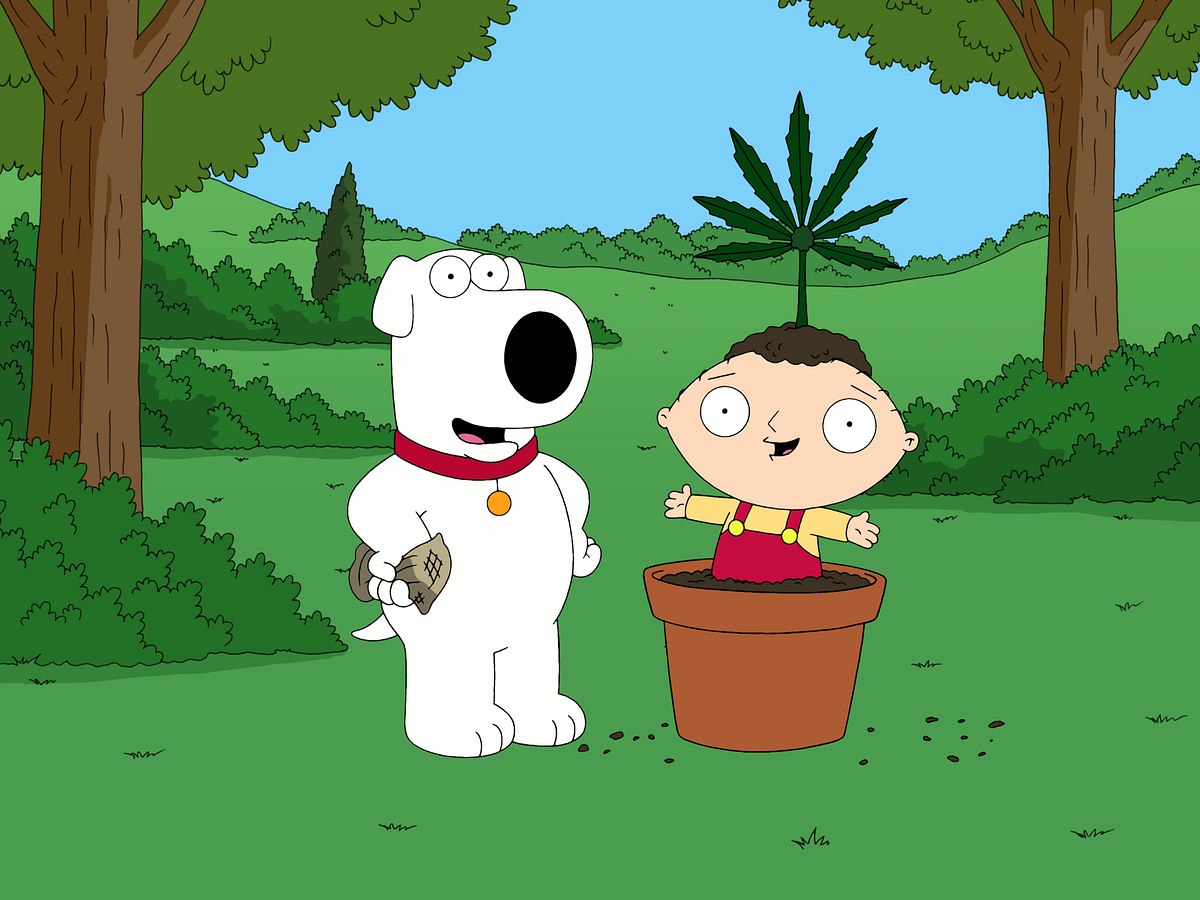 Family Guy family guy