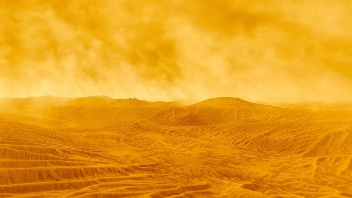 strip the cosmos - im innersten des universums