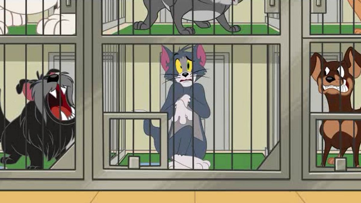 die tom und jerry show