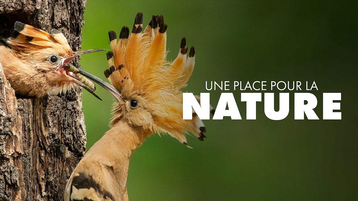 deutschlands neue wildnis