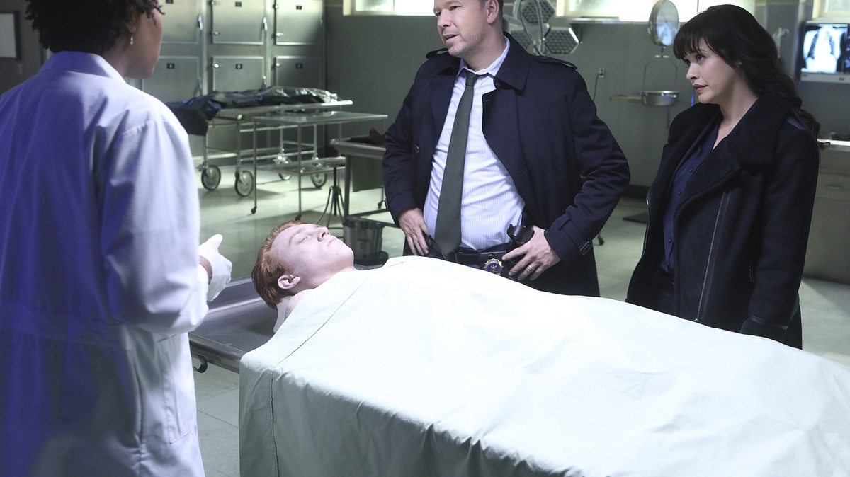 blue bloods - crime scene new york
