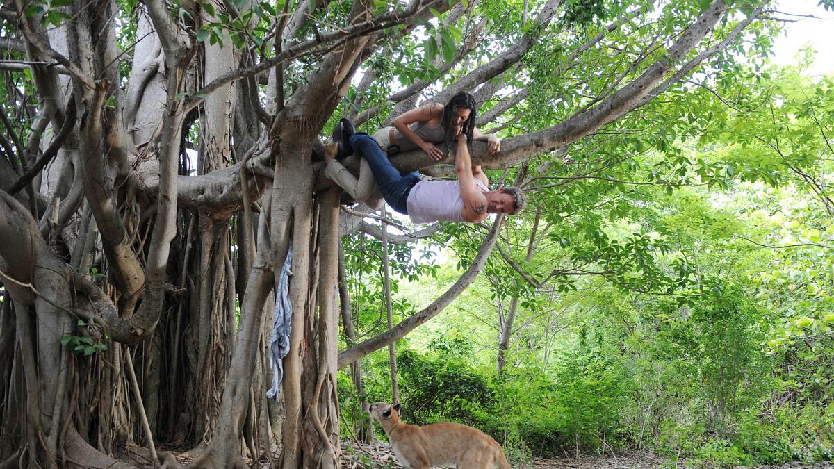 the glades
