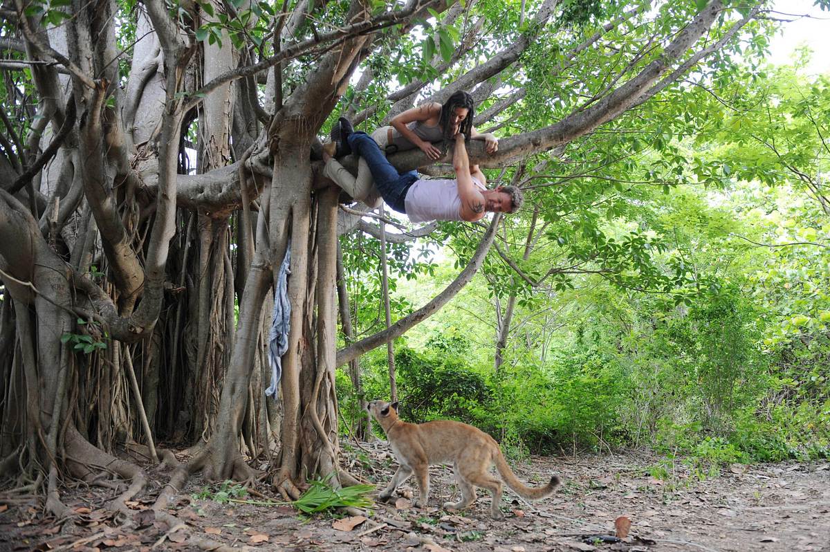 the glades