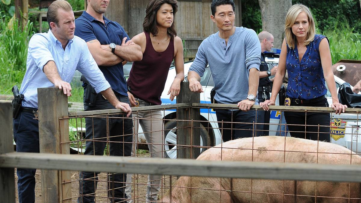 hawaii five-0