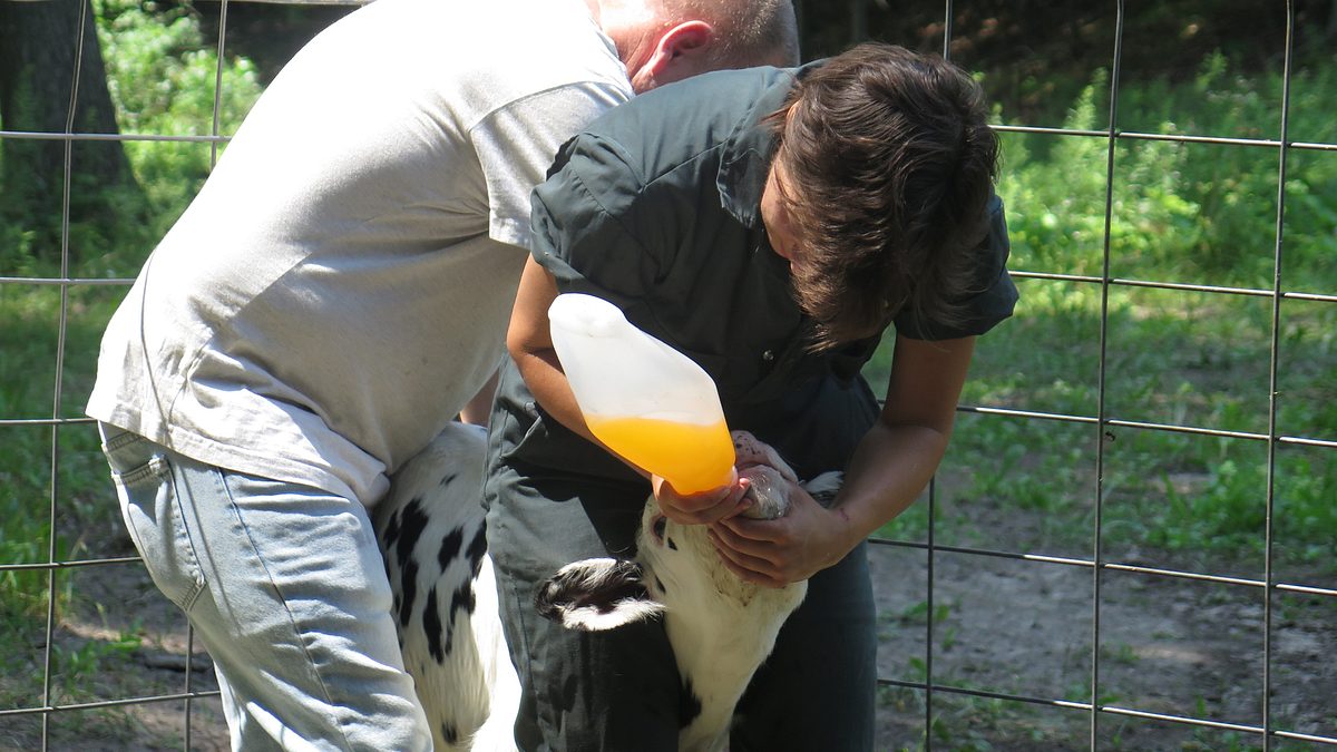 der unglaubliche dr. pol