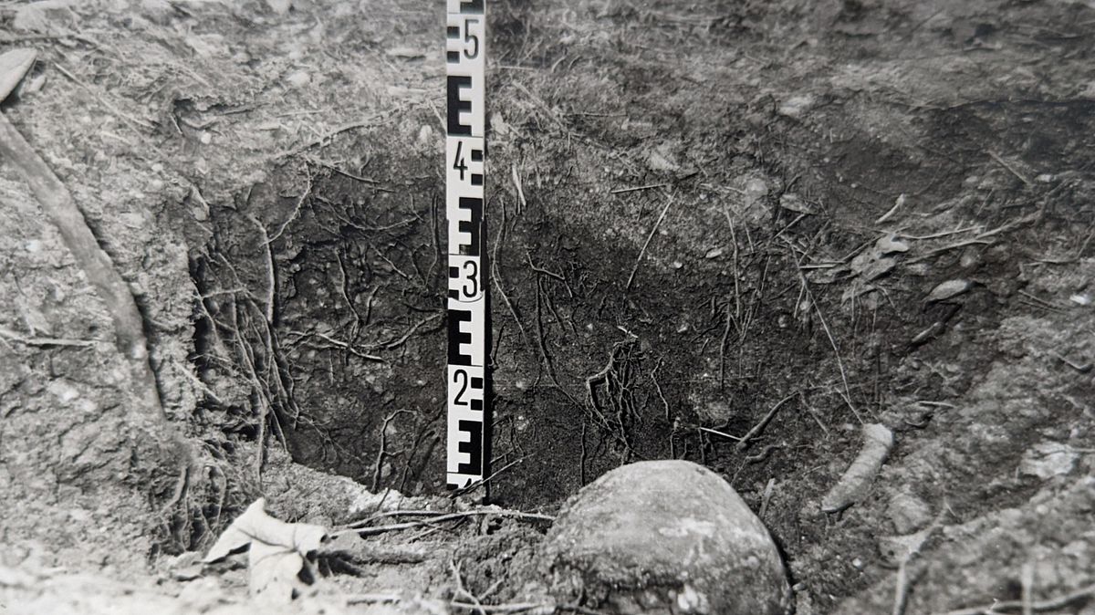 mysteriöse kriminalfälle der ddr