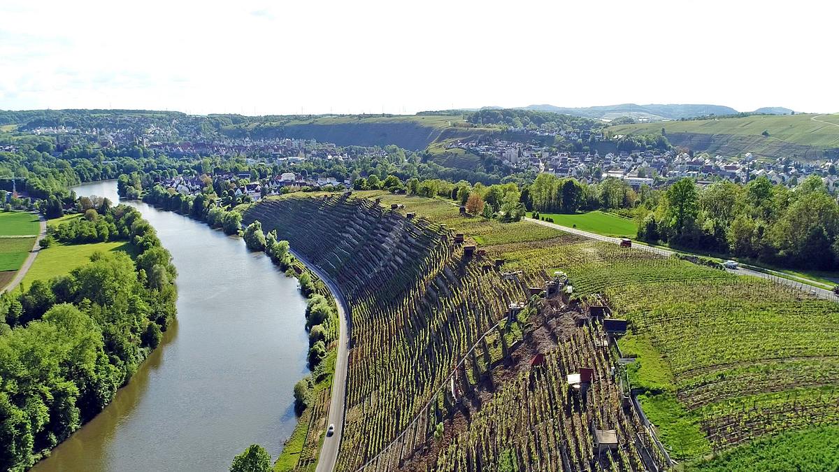 der neckar