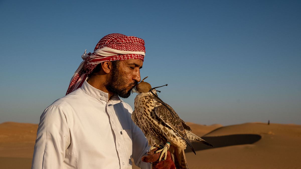wildes arabien
