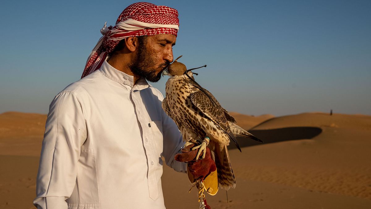 wildes arabien
