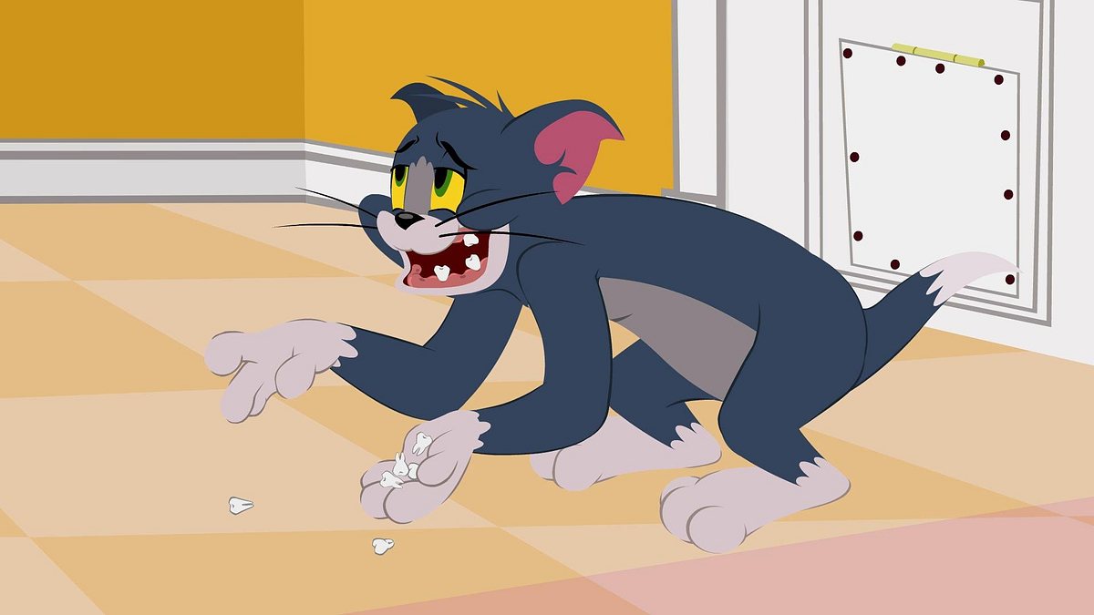 Die Tom und Jerry Show die tom und jerry show