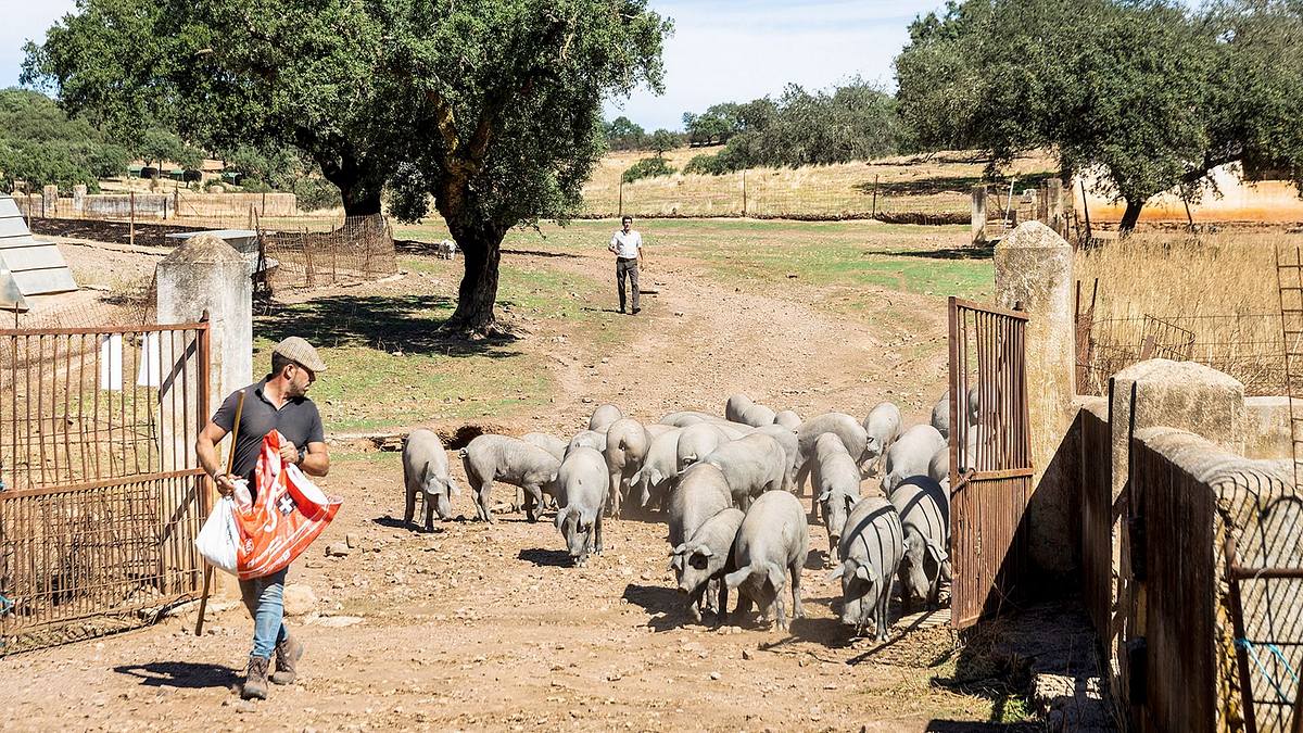 abenteuer spanien
