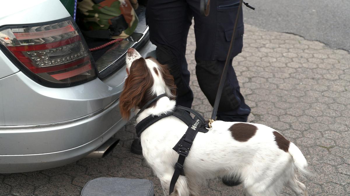 border control: schwedens grenzschützer