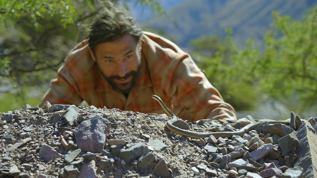 extreme survival mit hazen audel: über die anden