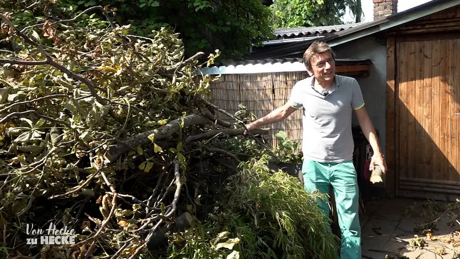 Von Hecke zu Hecke - Bunte Beetgeschichten von hecke zu hecke - bunte beetgeschichten