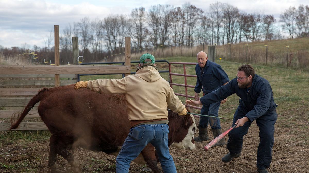 der unglaubliche dr. pol