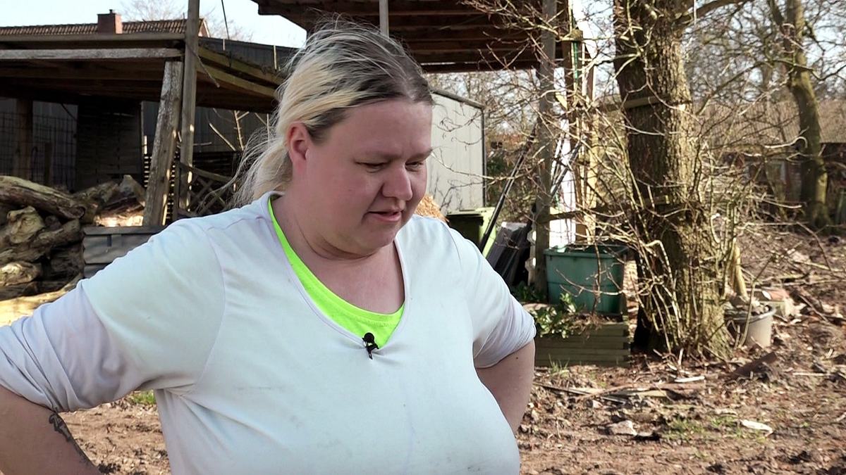 hartz und herzlich - tag für tag rostock